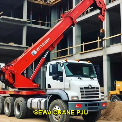 sewa crane pju